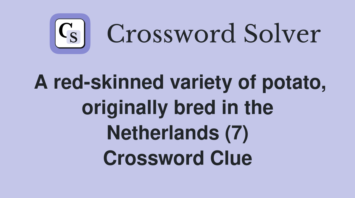 A redskinned variety of potato, originally bred in the Netherlands (7